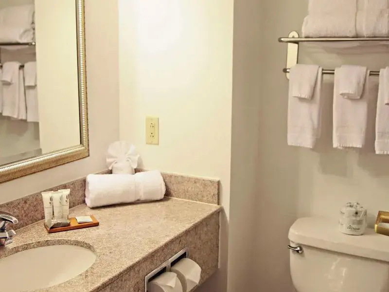 Country Inn & Suites by Radisson, Frackville (Pott - Chambres