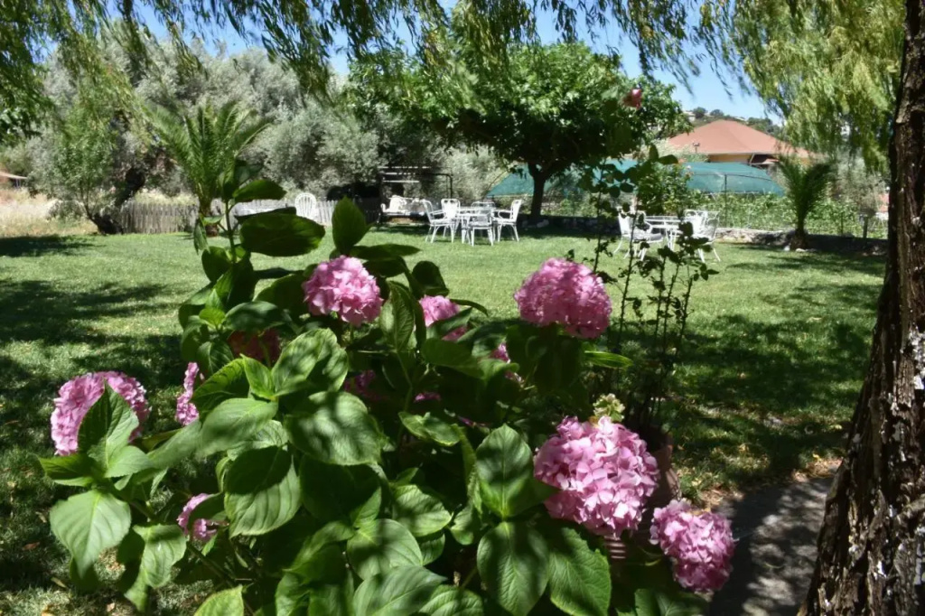 Hotel photo 32