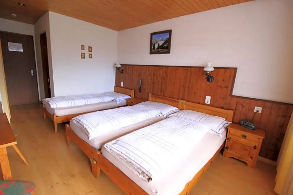 Hotel Fiescherhof - Chambres