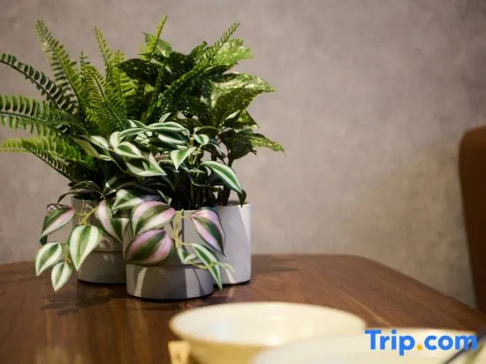 Residence Hotel Stripe Sapporo 사진 39