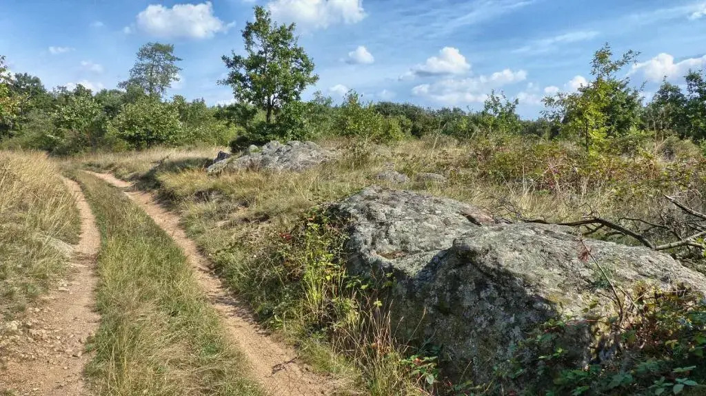 Family Cottage - фото 8