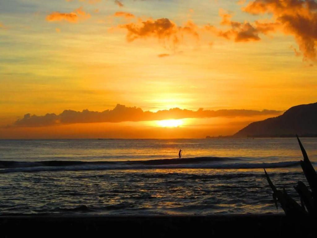 Tahiti Surf Beach Paradise - Général
