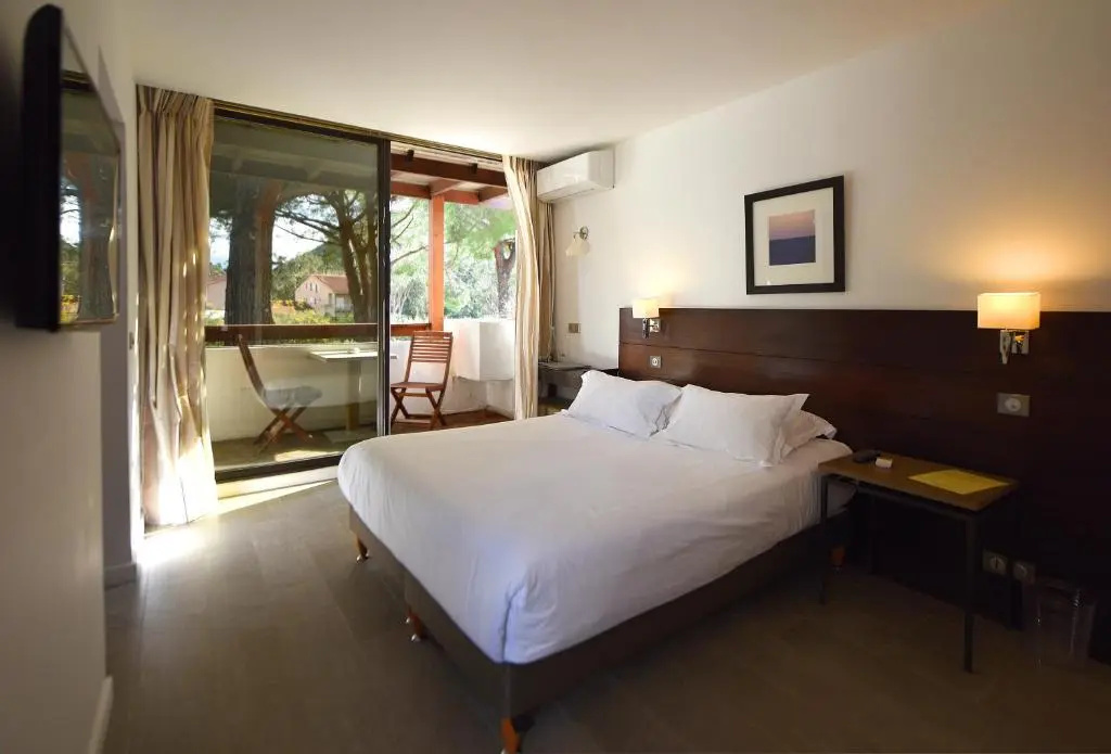 Standard Double room with mountain view (full double bed)