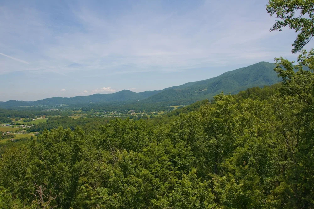 PARADISE FOUND - 3 Br Cabin