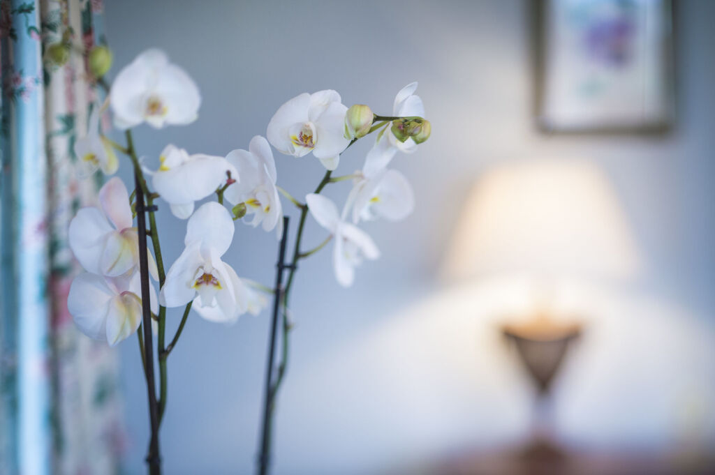 The Talbot Country House Hotel & Inn by null