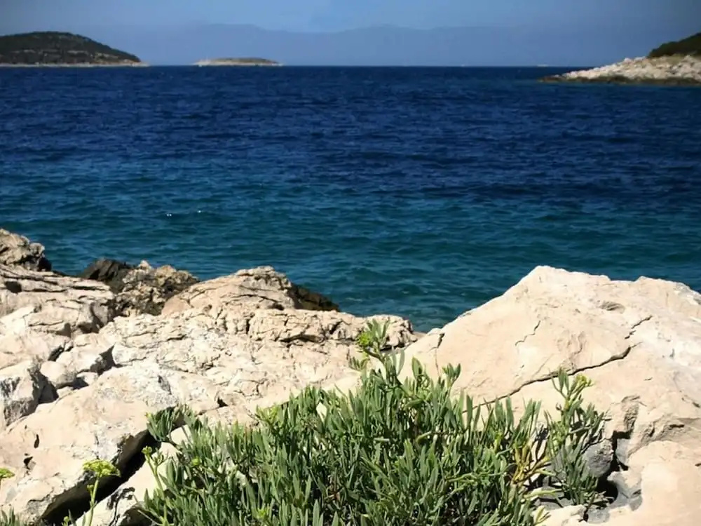 Beach & Waterfront