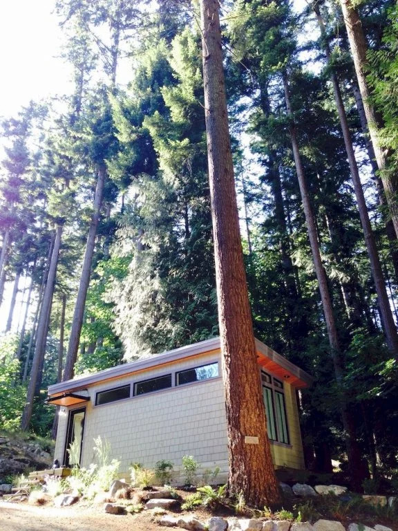 Nectar Yoga B&B - фото 8