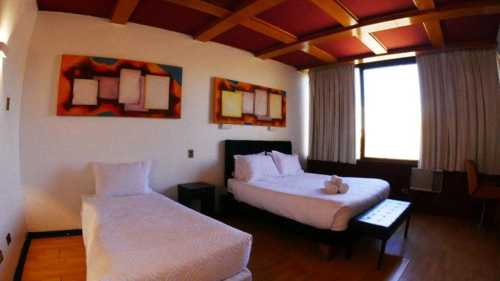 Hotel photo 50