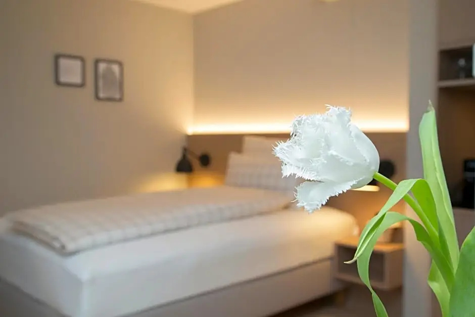 Hotel Forum Widnau - Chambres