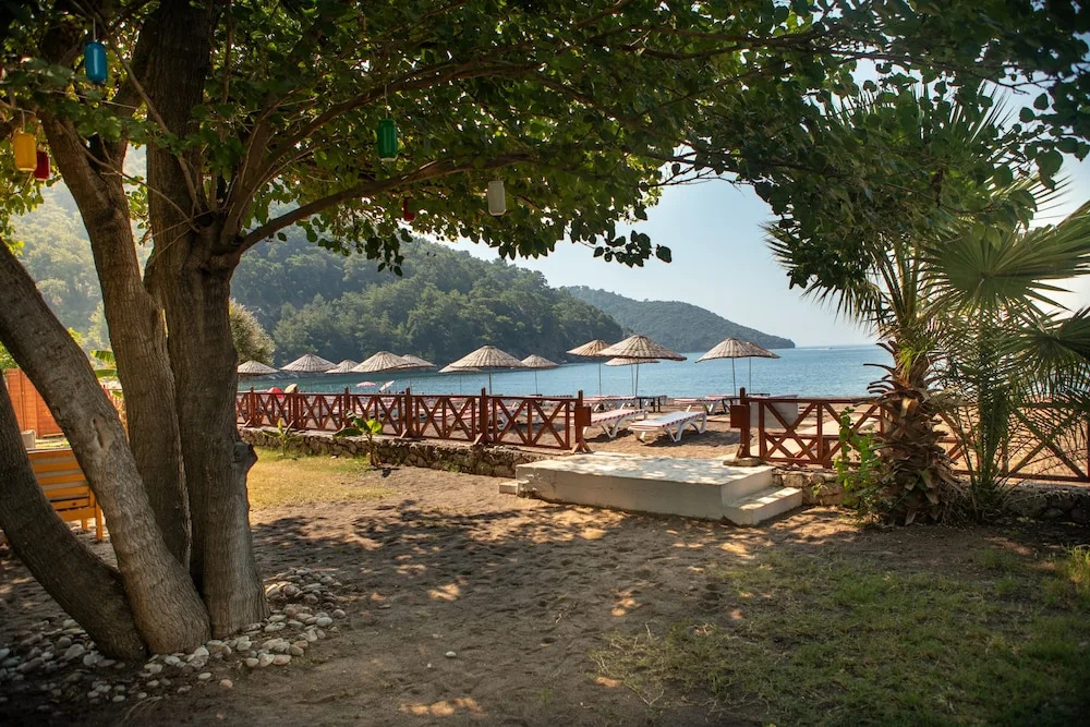 Beach & Waterfront