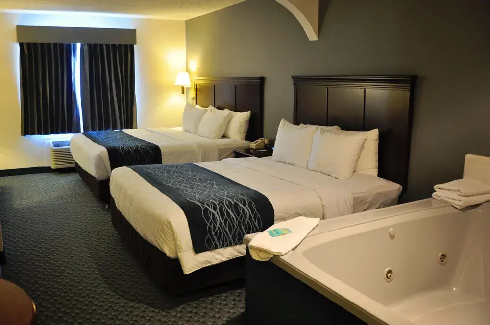 Comfort Inn - фото 6