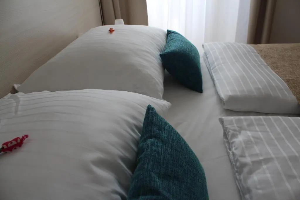 Hotel Borovnik - Chambres