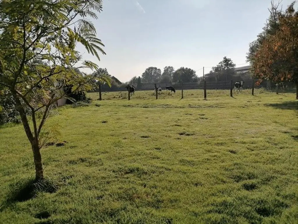 Voir la photo 4 — Gîte Moitron-sur-Sarthe, 4 pièces, 6 personnes - FR-1-410-334