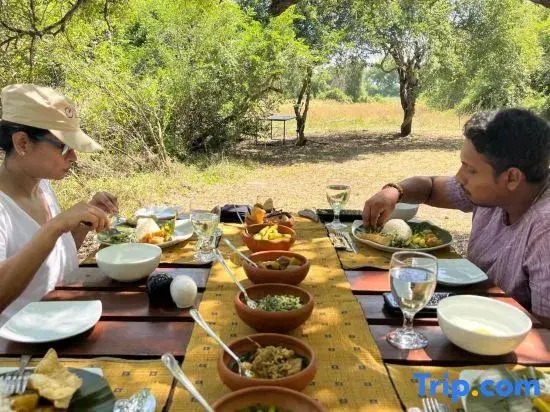Mahoora Tented Safari Camp - Wilpattu