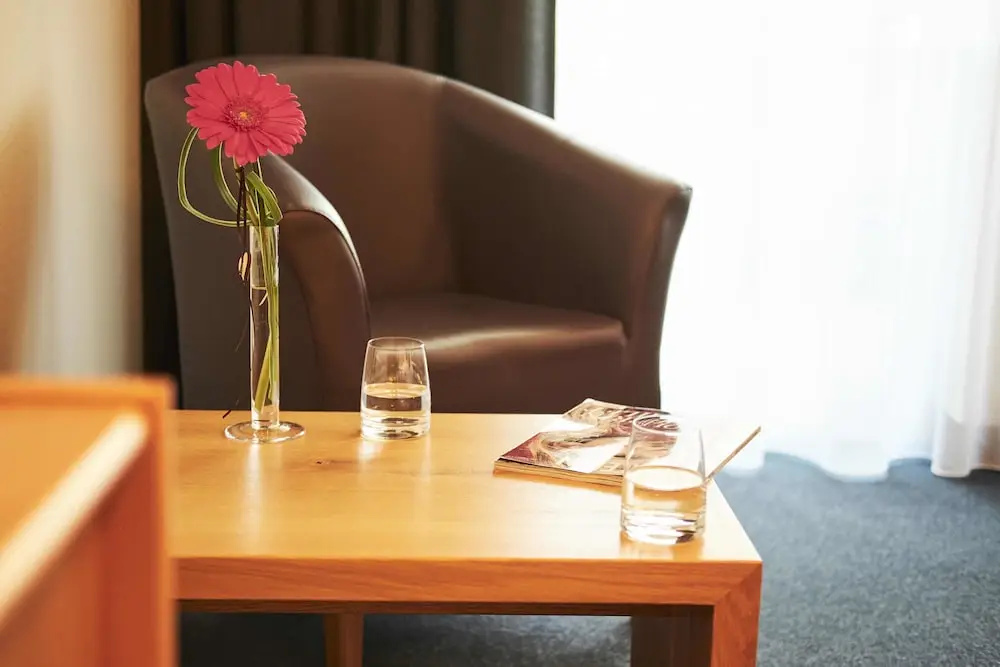 Standard Double room with balcony and with mountain view (full double bed)