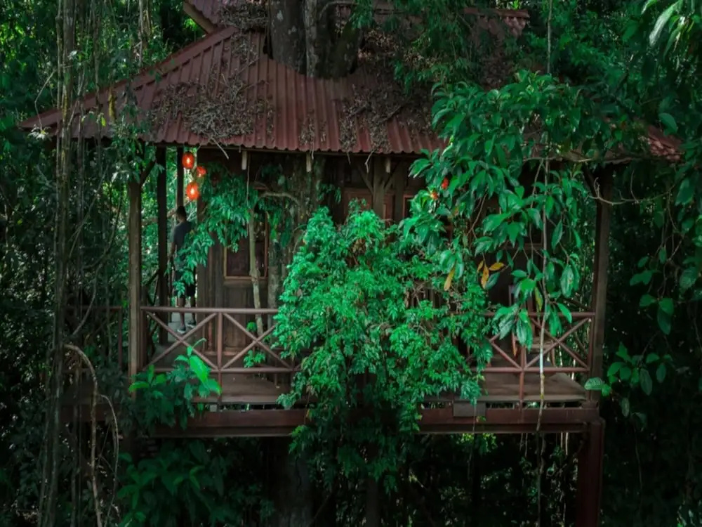 Double Cottage with mountain view (full double bed)