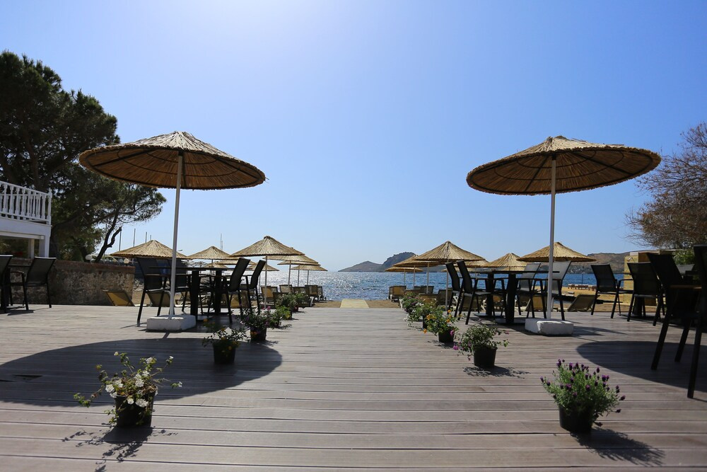 Beach & Waterfront