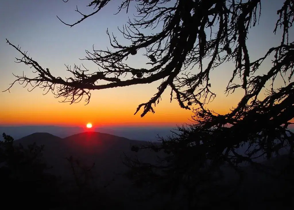 Albert's Lodge at Mt. Mitchell - фото 3