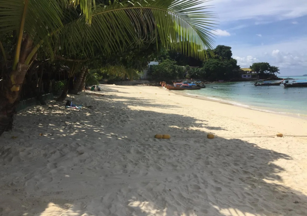 Beach & Waterfront