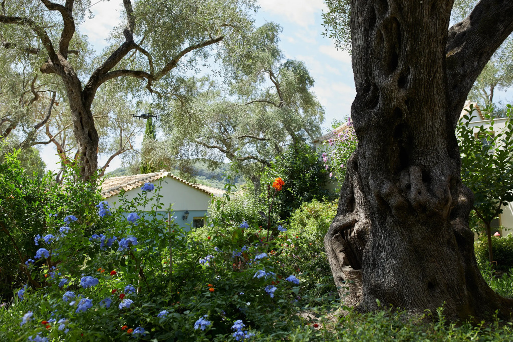 Image 23