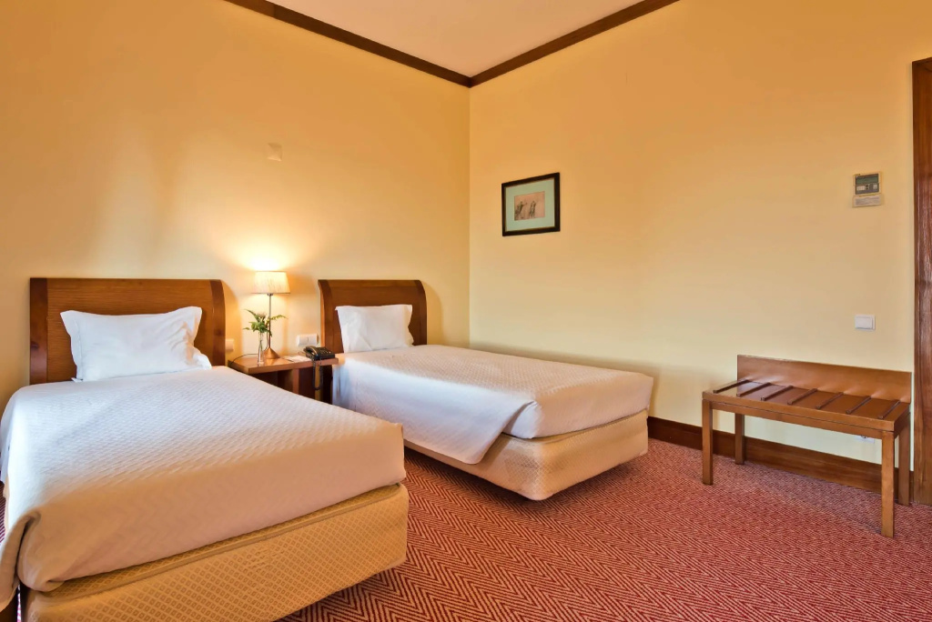 Standard Double room (twin beds)