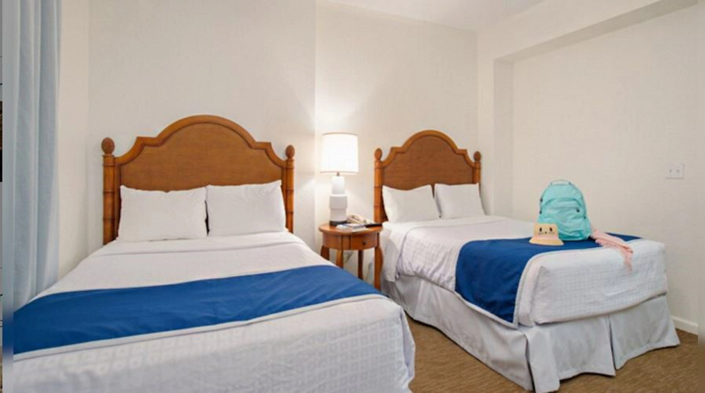 Lake Buena Vista Resort Village & Spa - Général