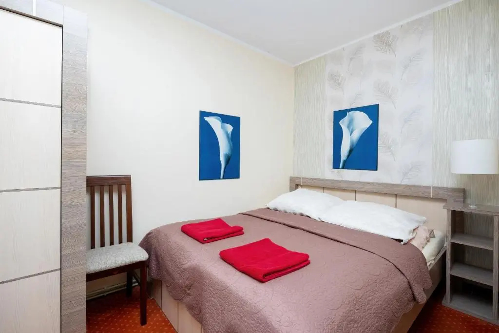 Standard Double room with pool view (full double bed)