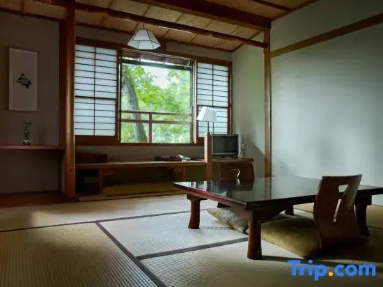 Standard room with view