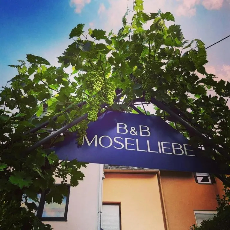 Wohnung 2 Pers 1 Schlafzimmer und Wohnzimmer mit Balkon und Blick auf die Mosel