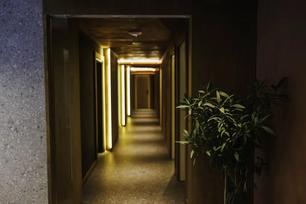 Lobby & Reception
