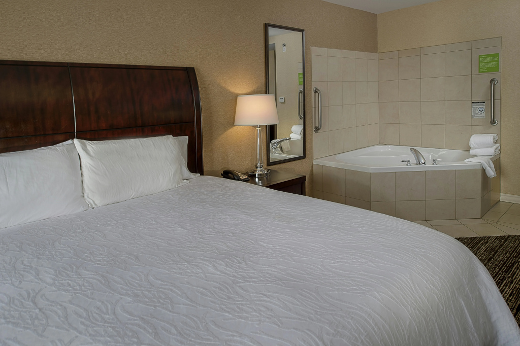 Hilton Garden Inn St. Louis Airport - Général