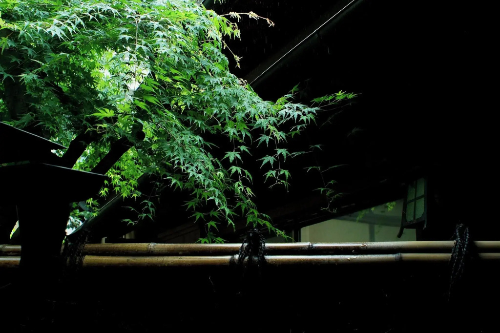 Tousin-an Komeya - фото 25