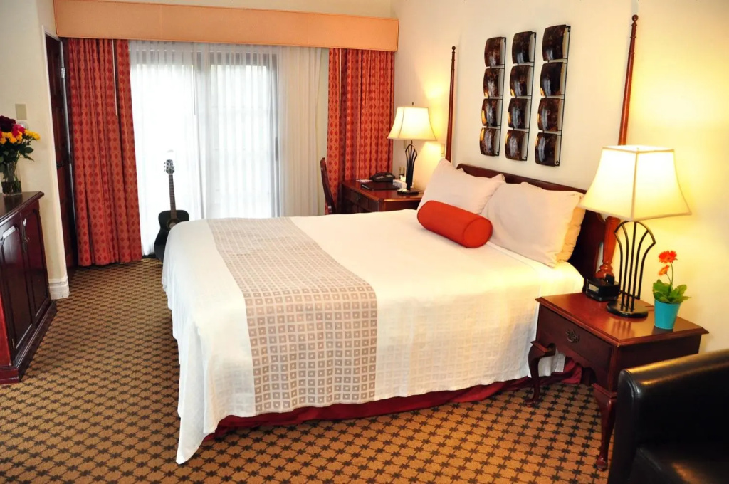 Deluxe Double room with balcony (full double bed)