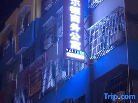 Punning Hilton Business apartment