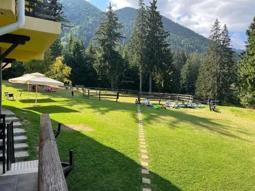 Hotel Casa Viorel - Général