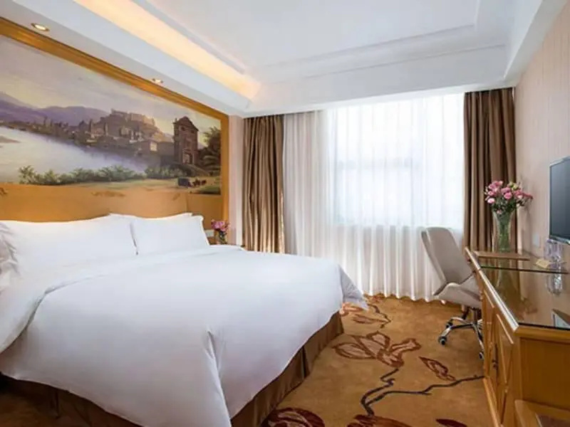 Vienna Hotel Heyuan Longchuan Branch - Chambres
