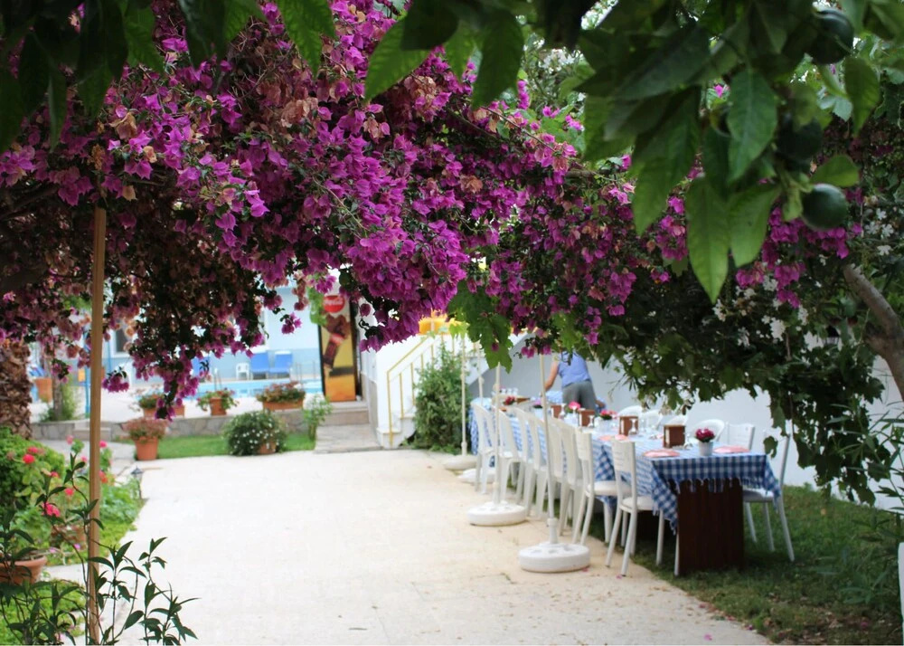 Hotel photo 13