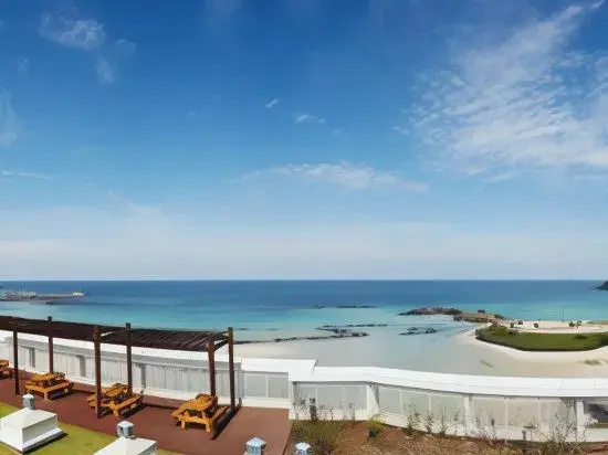 Beach & Waterfront
