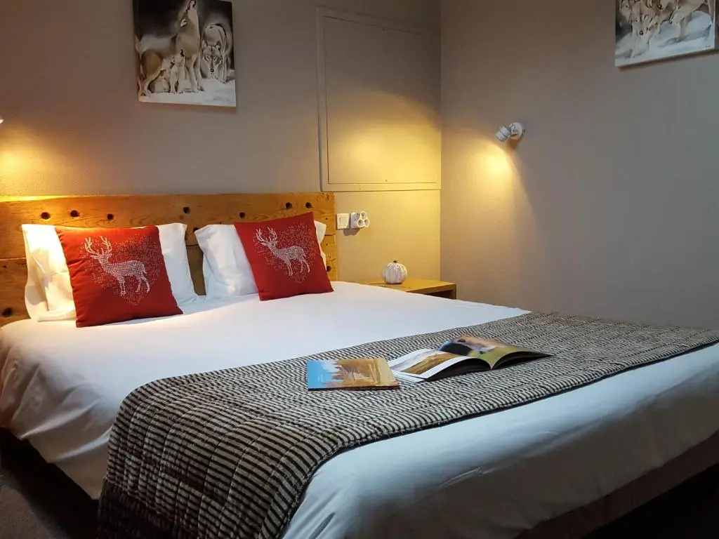 Comfort Double room (full double bed)