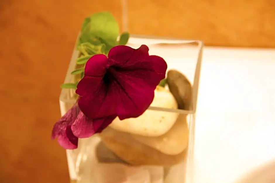 Hotel Novecento - Chambres