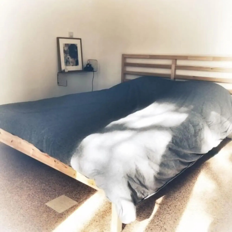 Afficher la photo 6 — Appartements Manusurf House