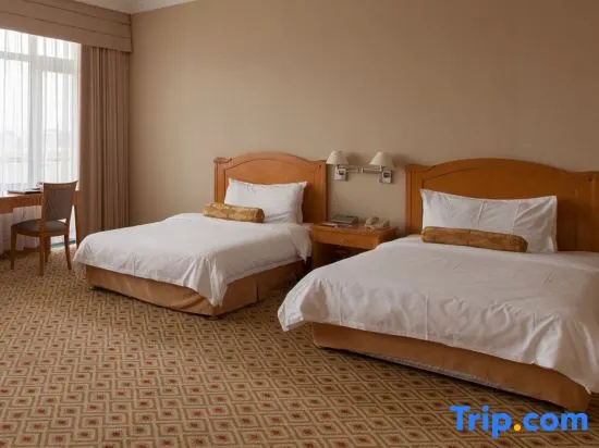 Connecting Family Suite