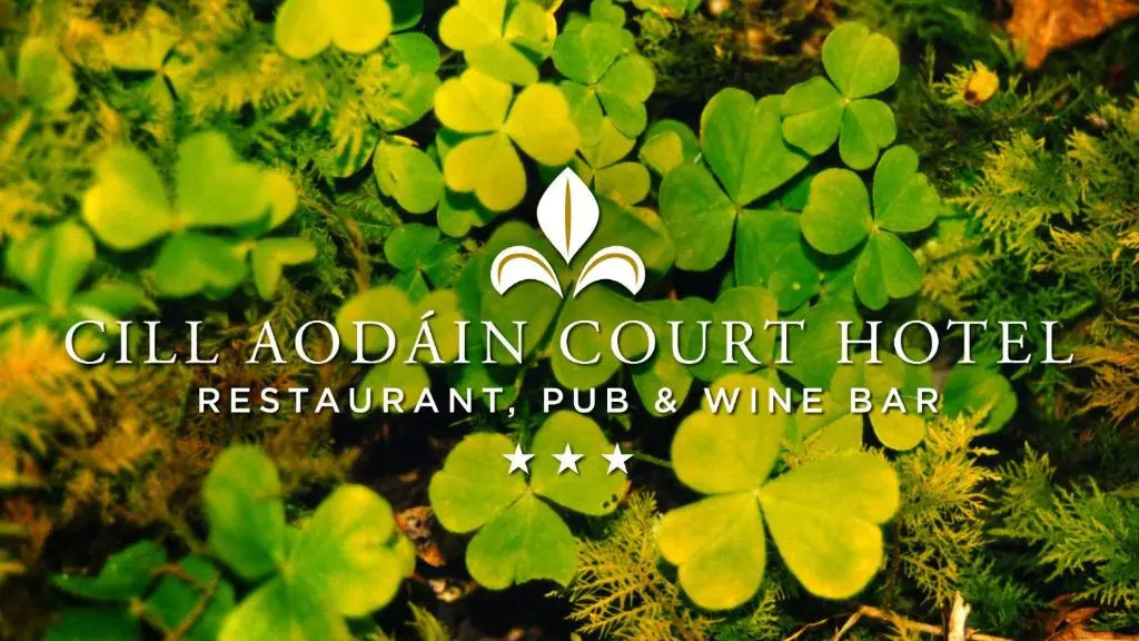 Cill Aodain Court Hotel - Chambres