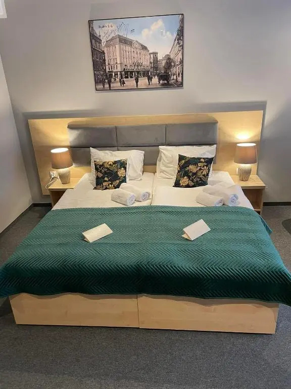 Standard Double room (full double bed)