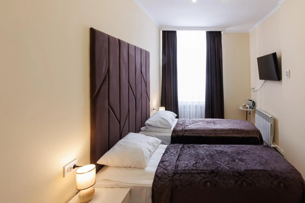 Standard Double room (twin beds)