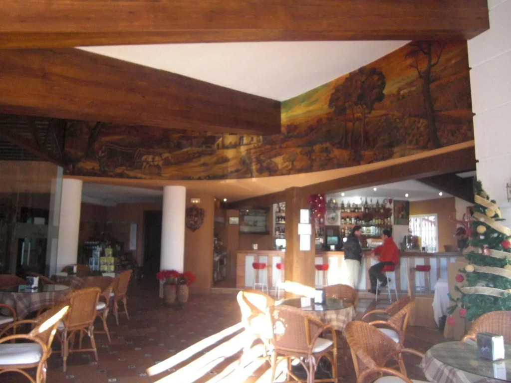 Hotel Don Gonzalo - Général