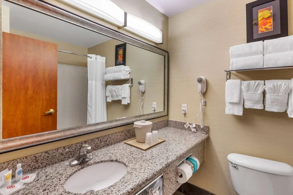 Comfort Suites Denver Tech Center - Chambres