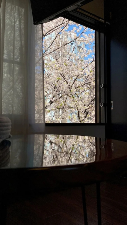 Penthouse 1-bedroom Flat in Hiroo Shibuya 사진 20