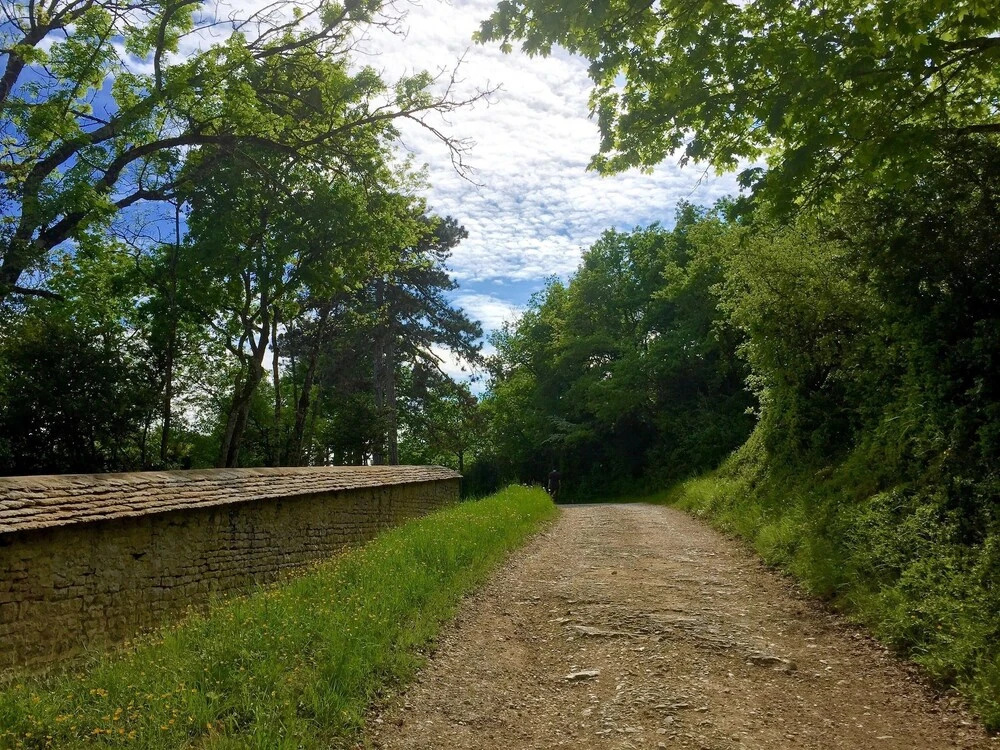 Gite la Maison du Tonnelier, Route des Grands Crus - Général