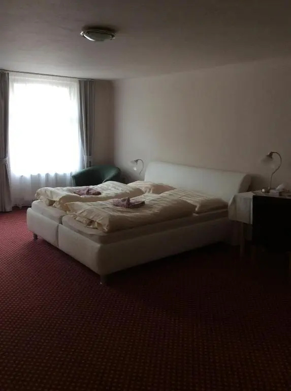 Hotel U Zlateho Andela - Chambres